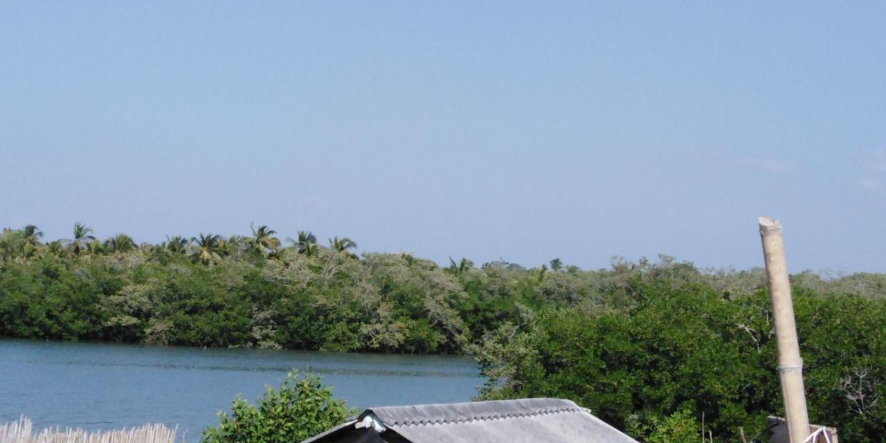 San Onofre Milimar Hostal מראה חיצוני תמונה